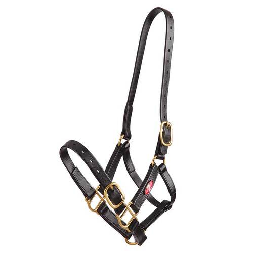 Zilco PN Halter [Size: Cob] [Colour: Black]